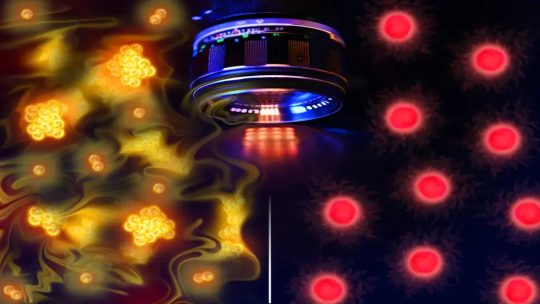 Physicists Capture First Images of “Free-Range” Atoms, Confirming Century-Old Quantum Theory