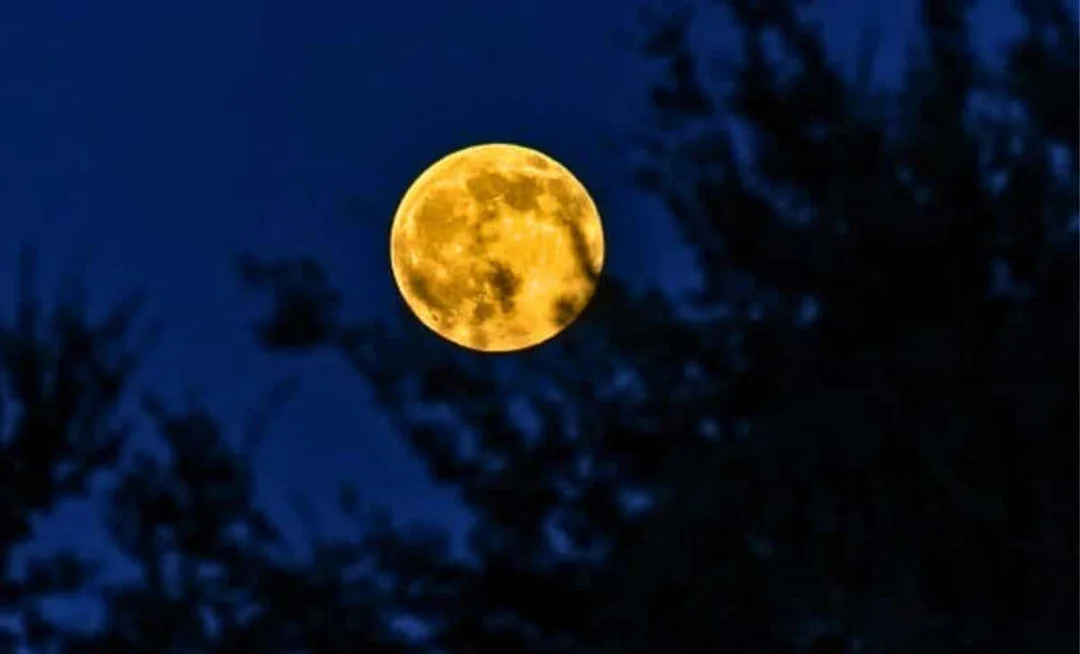 Prepare for Celestial Spectacle: The 2025 Full Moon Calendar Unveiled!