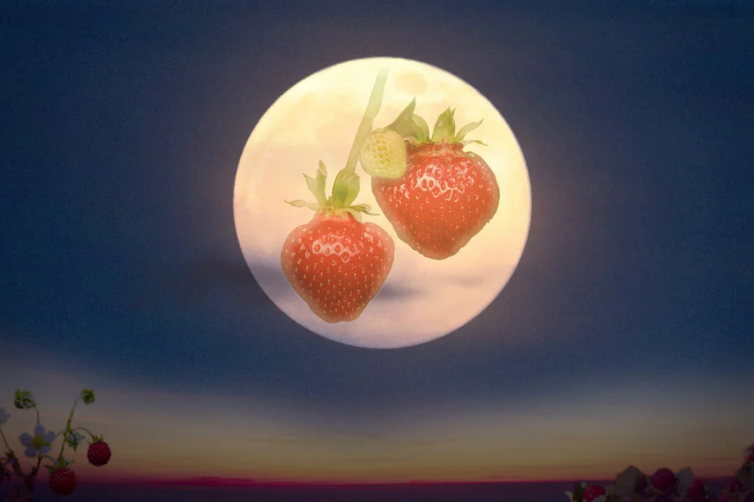 Strawberry Moon 2025: When and How to See June’s Celestial Highlight