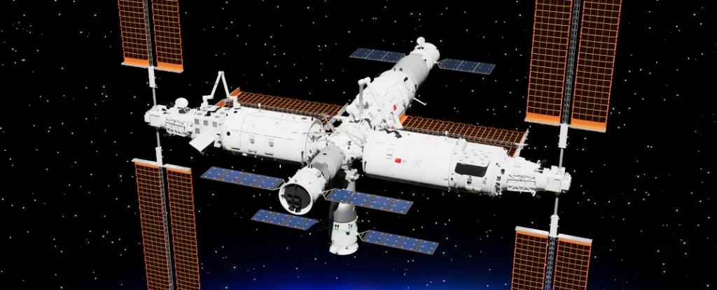 New Bacteria Species Discovered Aboard China’s Tiangong Space Station: A Potential Risk to Astronaut Health?